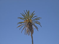 Neuras [ 16 images ]